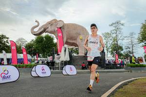 BIB: 
                            <button type="button" onclick="openModal(26528724)" class="btn btn-primary btn-sm float-right btn-popup" data-toggle="modal" data-target=".modal-high-quality">
                        <i class="fas fa-shopping-cart"></i> Add to Cart
                    </button>
                                            <button type="button" onclick="isThisMe(26528724, true)" class="btn btn-success btn-sm float-right btn-popup btn-isme hidden" data-toggle="tooltip" data-placement="bottom" title="นี่คือรูปของคุณใช่ไหม คลิกที่นี่เพื่อเอาเข้าอัลบั้ม">
                        <i class="fas fa-plus"></i> Add to album
                    </button>
                    <button type="button" onclick="isThisMe(26528724, false)" class="btn btn-warning btn-sm float-right btn-popup btn-isnotme hidden">
                        <i class="fas fa-ban"></i> Remove from album
                    </button>